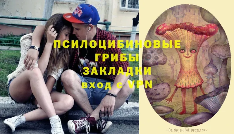 Галлюциногенные грибы Psilocybine cubensis  Балабаново 